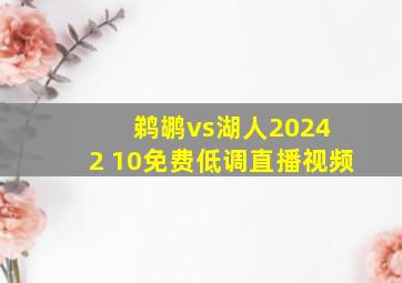 鹈鹕vs湖人2024 2 10免费低调直播视频